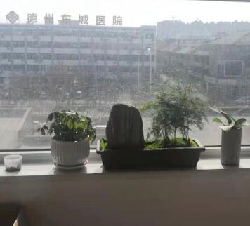 房子窗外有医院泰山石怎么化解？